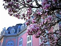 BOF2014 05  Schloss Benrath 1 Düsseldorf/Germany