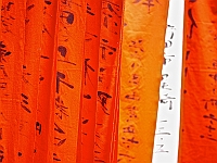 BOF2014 53  Temple 2 Narita/Japan